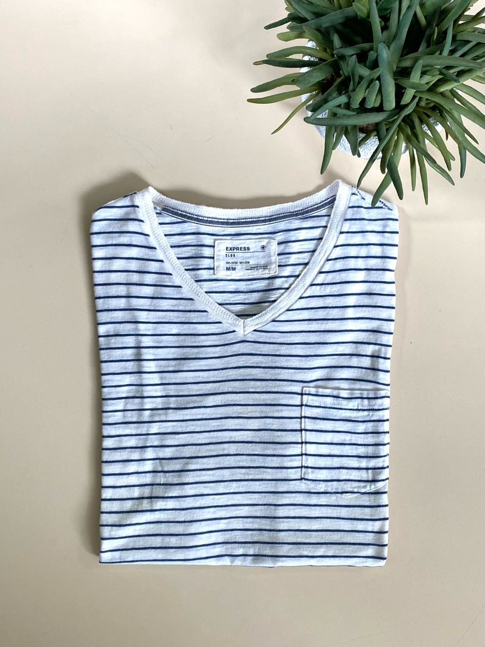EXPRESS - White & Blue Striped V-Neck Tee